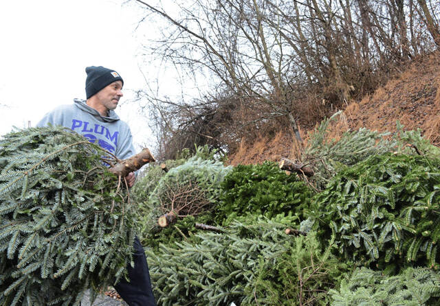 4530320_web1_ms-XmasTreeRecycleB-122018