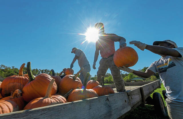 4533761_web1_GTR-LO-SchrammPumpk2-103021