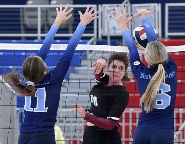 Greensburg Central Catholic senior quartet earns all-WPIAL volleyball honors
