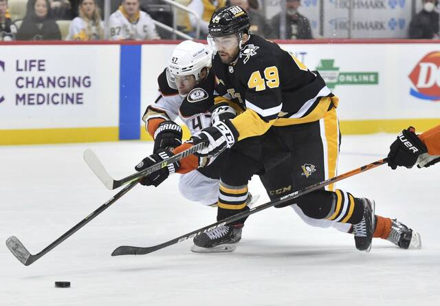 4545092_web1_ptr-PensDucks09-121221