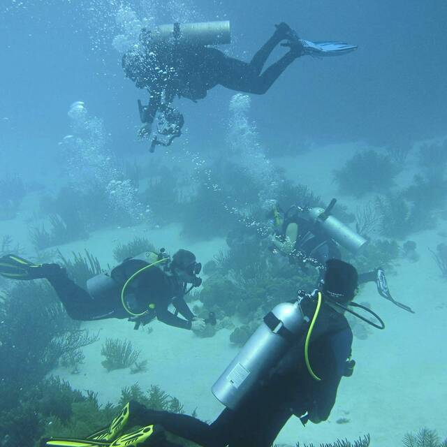 4548755_web1_Bonaire-20202