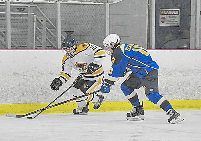 Senior’s 7-goal game highlights Hampton hockey’s move to Class A