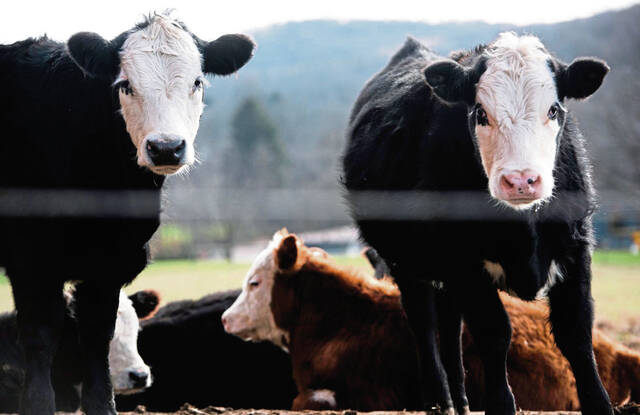 4557523_web1_vnd-meatPrices2-4-122021