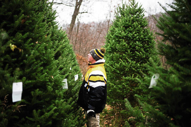 4560785_web1_ptr-christmastreefarms1-112821