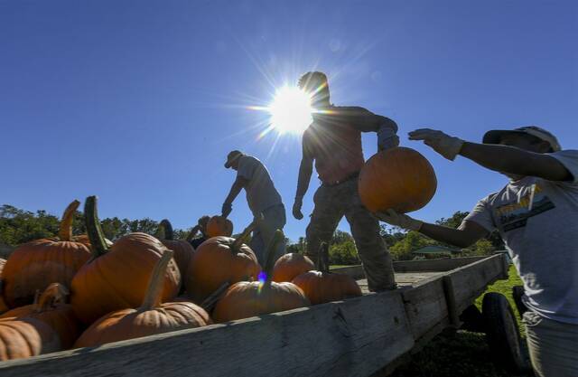 4570189_web1_gtr-lo-schrammpumpk2-103021