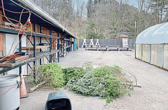 4572638_web1_vnd-xmastreessellout-121821-4