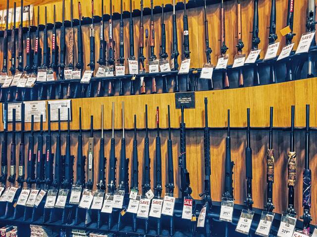 4592395_web1_web-gunstore