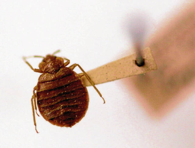 4592613_web1_ptr-SABedBug-012920