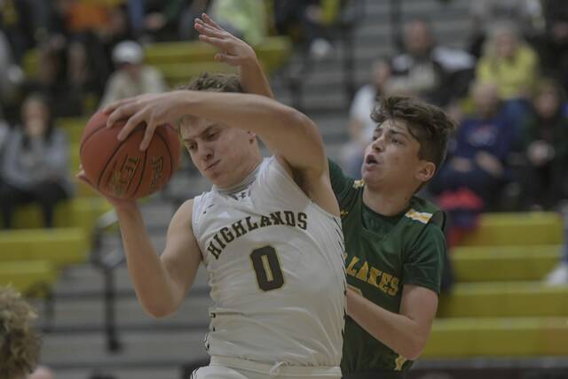 Tweak to defense puts Deer Lakes boys basketball team in the zone