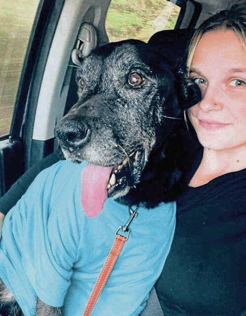 4578325_web1_gtr-SeniorDogs2-122321