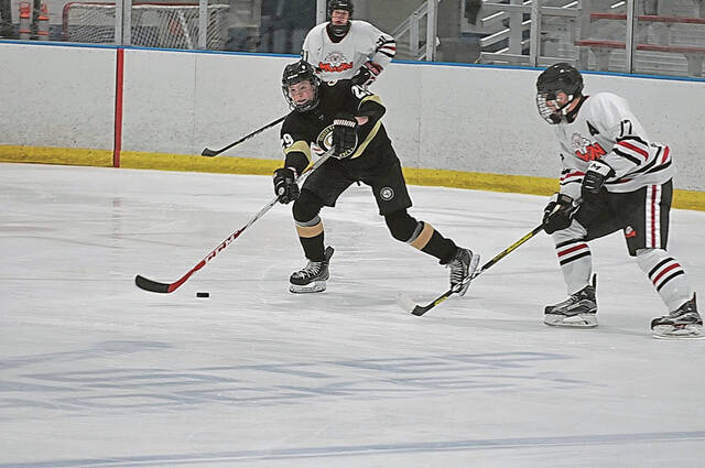 Quaker Valley hockey bounces back into title contention