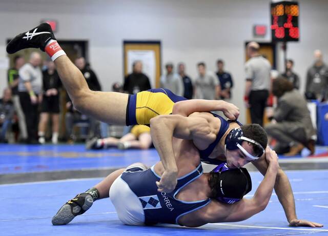 Allegheny County Wrestling Tournament to make anticipated return at Fox Chapel