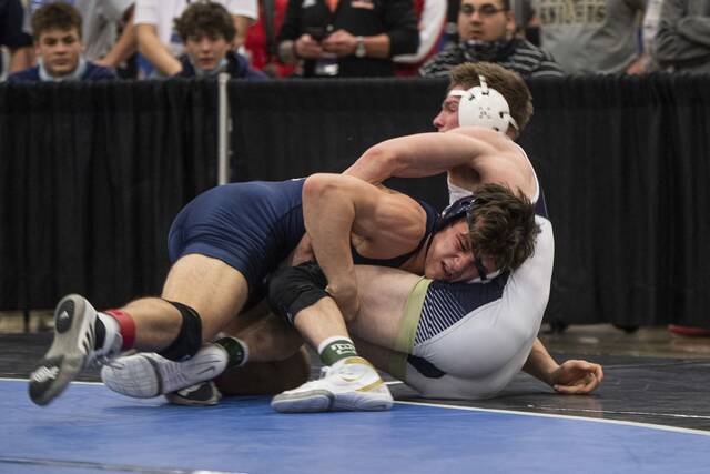 Norwin notebook: Kranitz’s runner-up finish helps Knights finish 7th at WCCA tournament