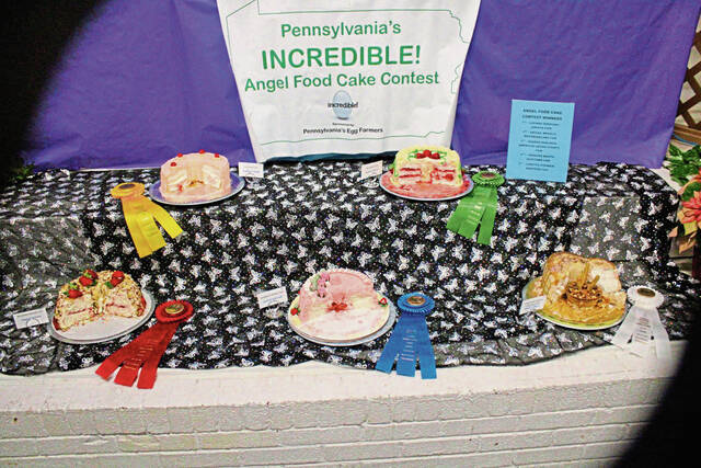 4636804_web1_gtr-angelfoodcake6