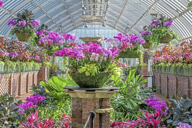 4637711_web1_PTR-FiveThings-Phipps