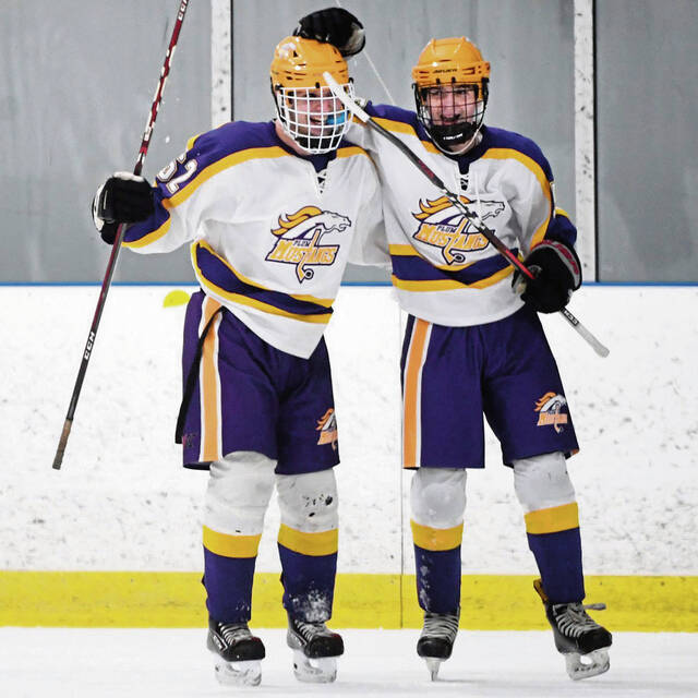 After tough stretch, Plum hockey rebounds to get back in playoff chase