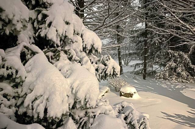 4652124_web1_ptr-SnowA-011822