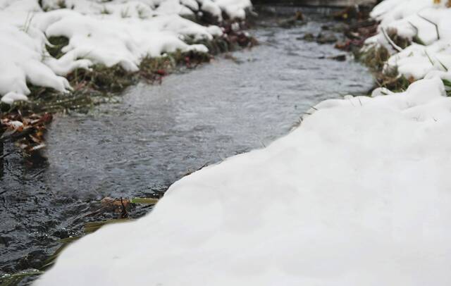 Nearly 28,000 miles of Pennsylvania’s streams are impaired by pollution, report finds