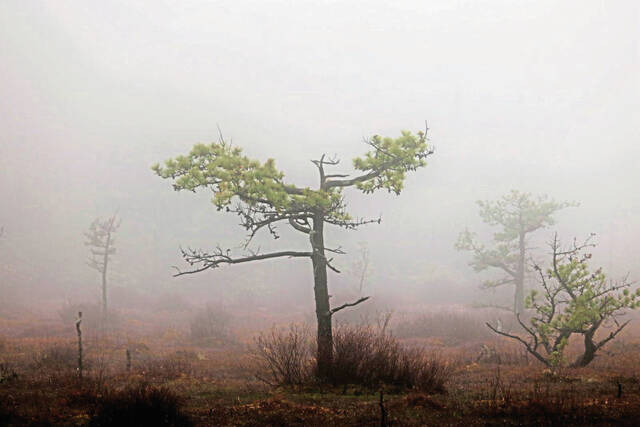 4677374_web1_gtr-ParkPhotos_Kaelin-012522