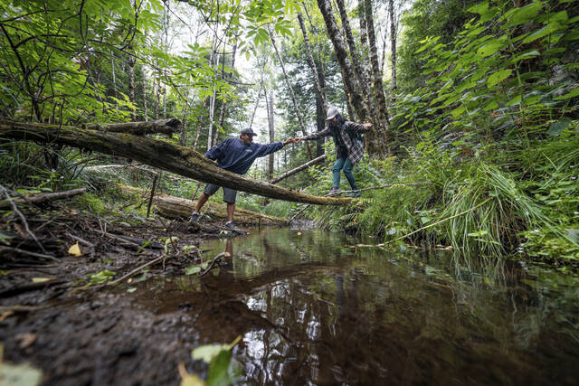 4679972_web1_4679972-6f22cd2f87d9400ba46f4adbbba42cd9