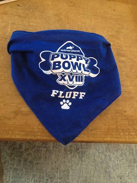 4685974_web1_HER-FCpuppyBowl4-020322