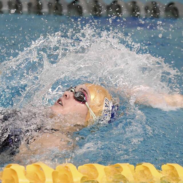Kiski Area swimmers Hansen, Sterlitz have sights set on top spots at WCCA meet