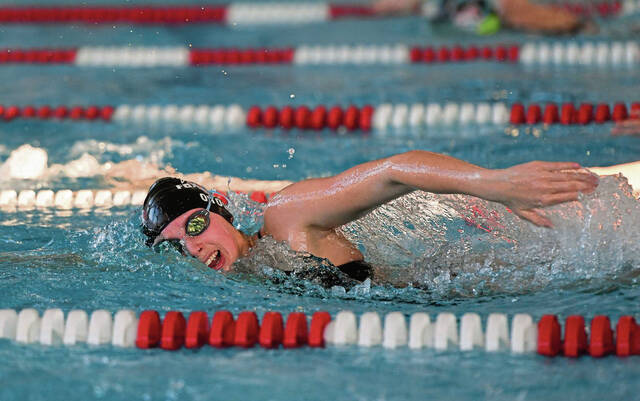 Fox Chapel swim teams speeding toward section titles