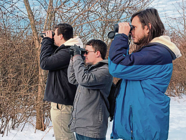 4706923_web1_gtr-BirdWalk1-020322