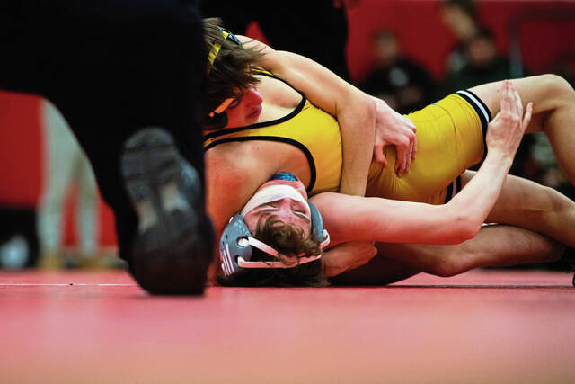 North Allegheny notebook: Tigers wrestlers fall in WPIAL quarterfinals