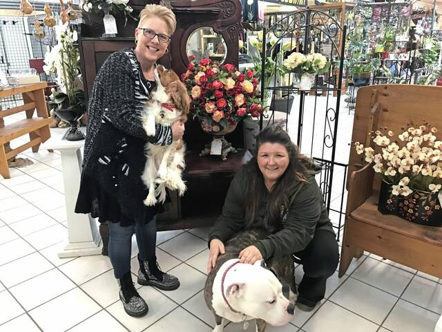 4720198_web1_php-gardencentertransition-0201721