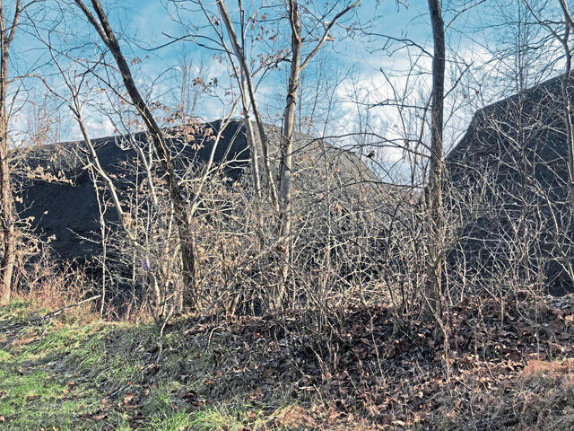 4724682_web1_Banning-Gobs-of-Coal