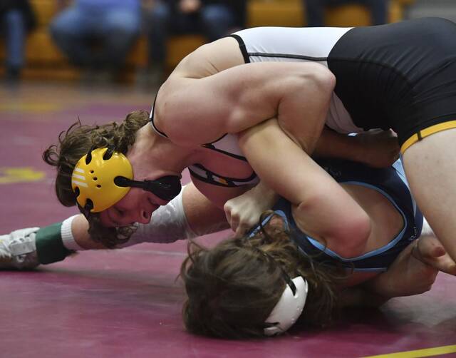 Trib HSSN WPIAL Individual Wrestling Rankings as of Feb. 8, 2022