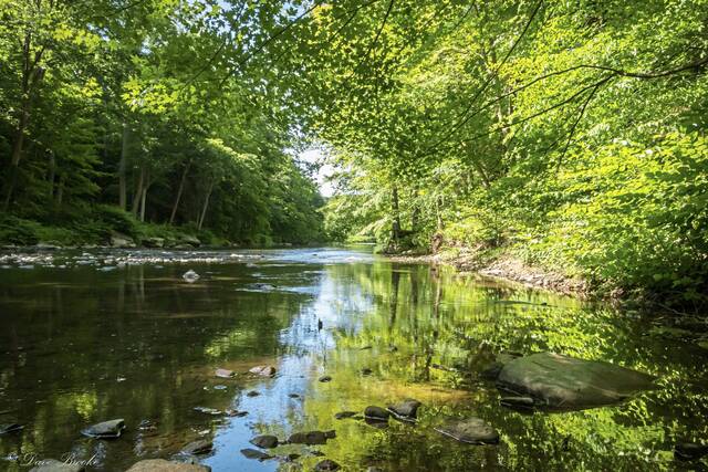 4727010_web1_vnd-riverofYear-122119