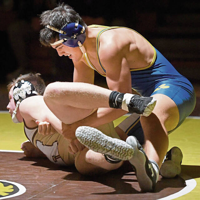 Hampton senior Wolfe enjoying best season after biding his time as junior backup