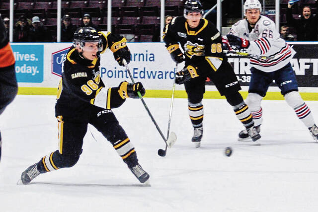 Pine-Richland notebook: Ty Voit having big season in junior hockey