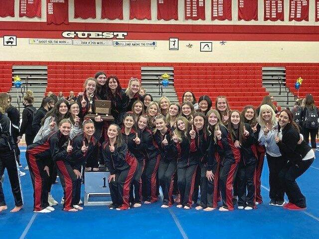 Moon gymnasts capture 7th WPIAL title