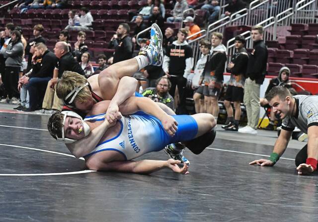 PIAA Team Wrestling Championship: Resilient Waynesburg bounces back to take 3rd