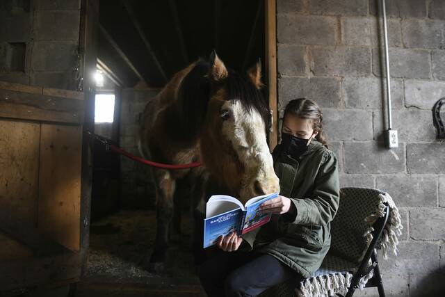 4750570_web1_gtr-StableStories001-021122