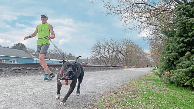 4757968_web1_gtr-happydogs