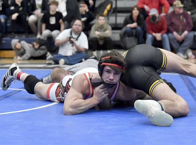 Mt. Pleasant’s Pitzer, Frazier’s Lawrence dominate WPIAL 2A tournament