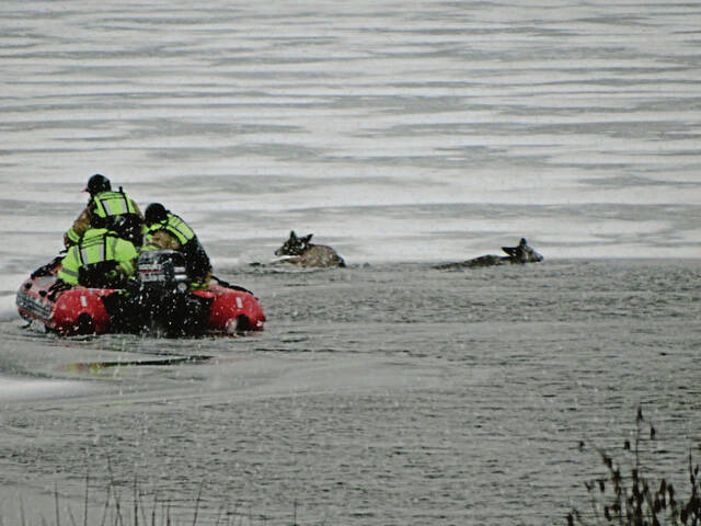 4770625_web1_deer-rescue