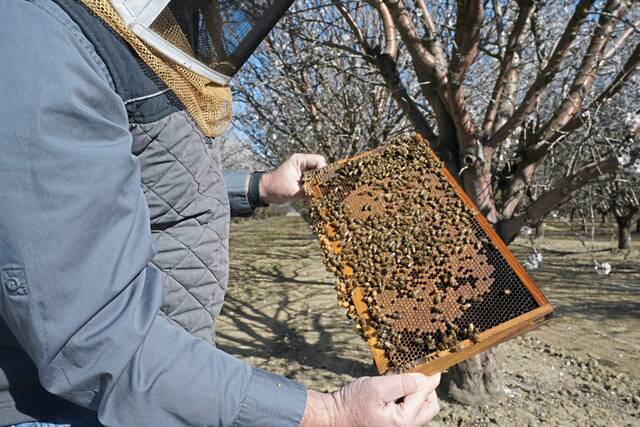 4774204_web1_AP22049846861724