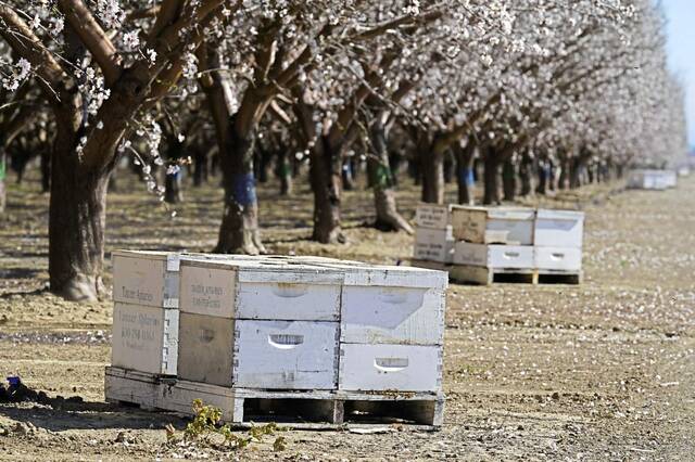 4774204_web1_AP22049846863481