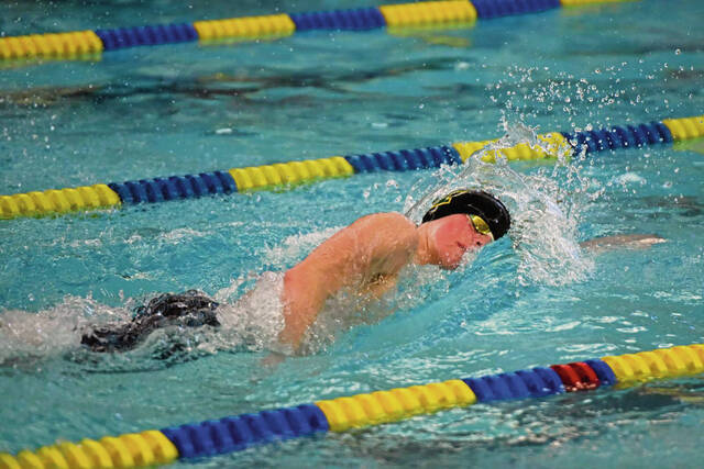 Penn-Trafford underclassmen look forward to WPIAL championship meet