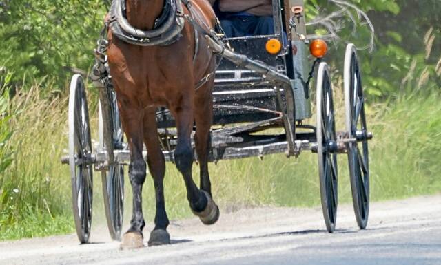 4781409_web1_ptr-amishbuggy-022522