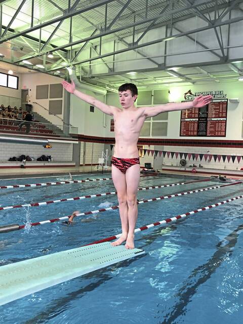 Fox Chapel freshman has eyes on PIAA diving qualification