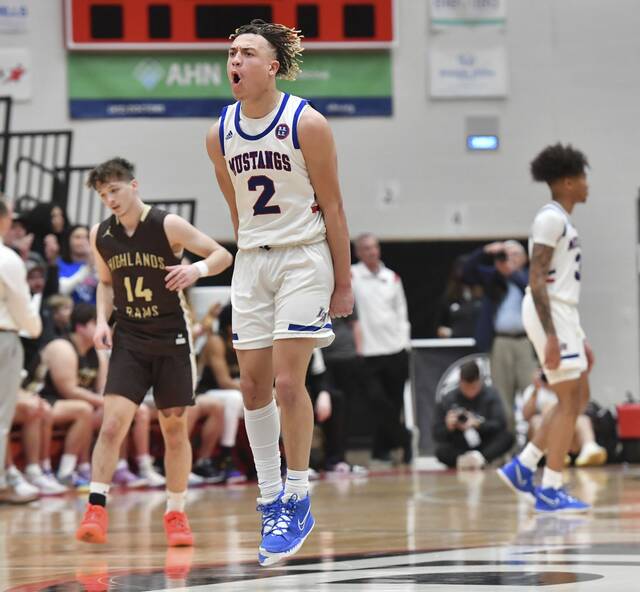 Unbeaten Laurel Highlands pulls away from Highlands, into WPIAL Class 5A final