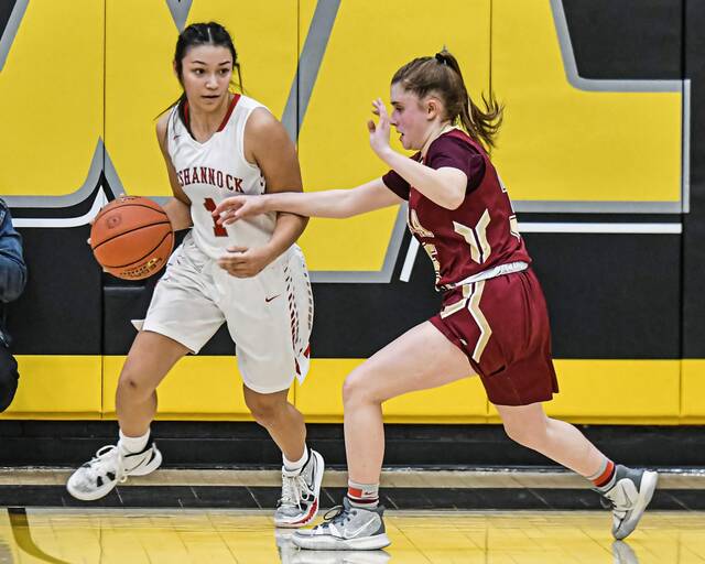 Defending champion Neshannock stops Serra Catholic to return to Class 2A final