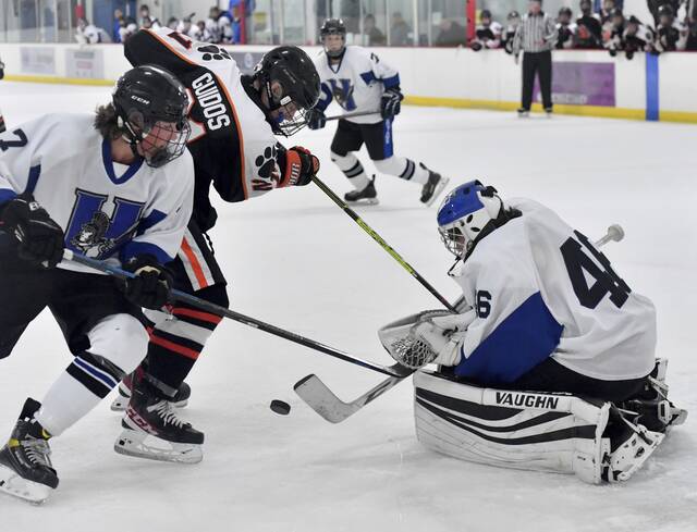 Late-season victories keep Hempfield hockey in playoff hunt