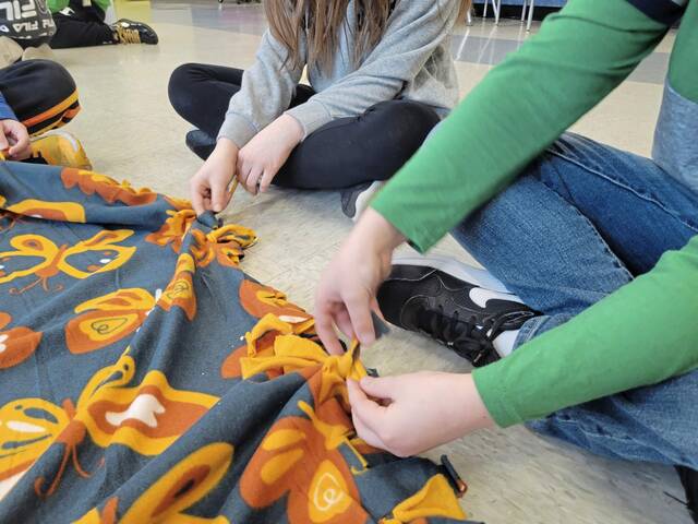 4798150_web1_vnd-blanketproject-0302222